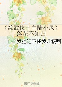(综同人)(综武侠+主陆小凤)落花不知归