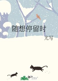 随想停留时